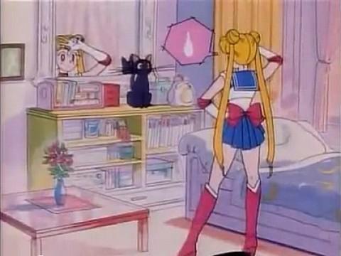 Usagi and the Girls' Resolve: Prelude to a New Battle