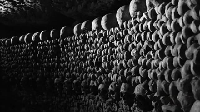 Netherworld: Paris Catacombs