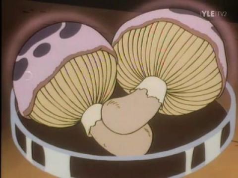 The Slug-a-Bed Mushrooms