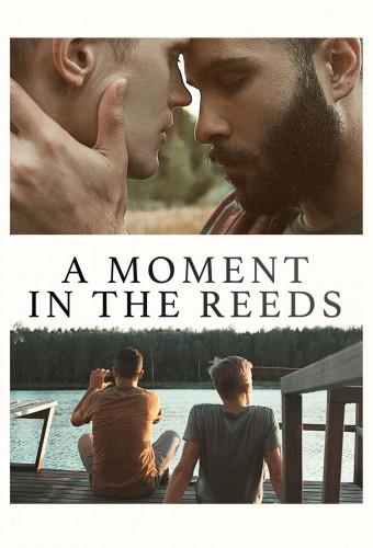 A Moment in the Reeds