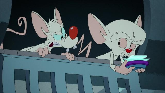 Talladega Mice: The Ballad of Pinky Brainy