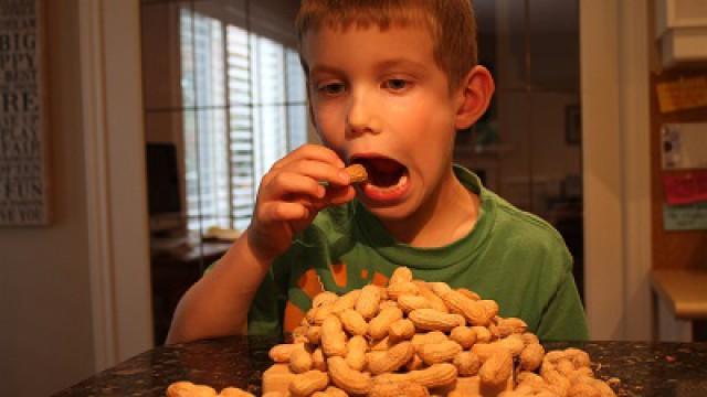 The Allergy Fix