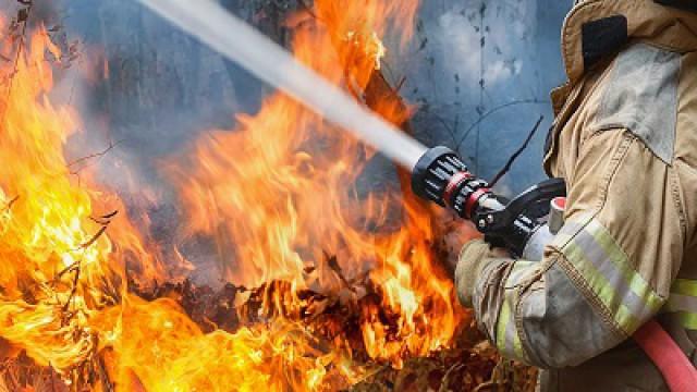 Into the Fire