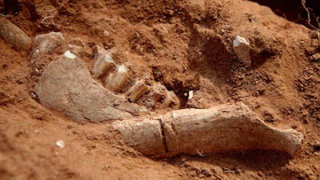 The Bones of Badger Hole, Oklahoma