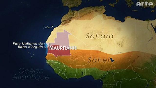 Le Banc d'Arguin, en Mauritanie