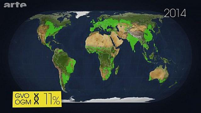 Les OGM, état des lieux (1/2)