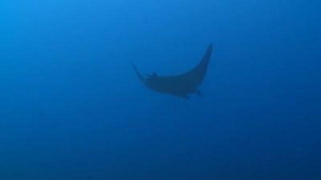 Philippines 2