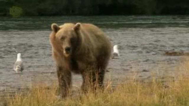 Alaska