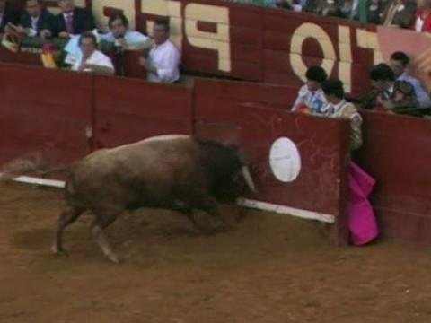 Hiszpania i Portugalia: Corrida