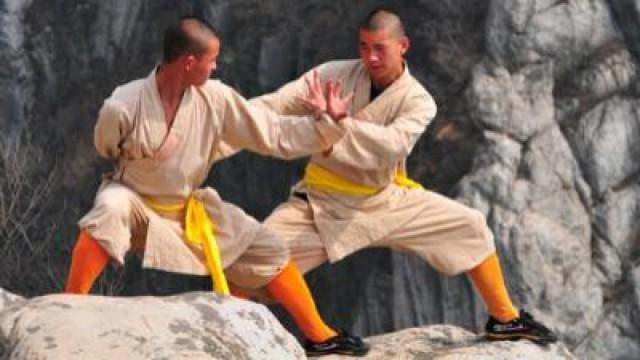 Kung Fu Inc.