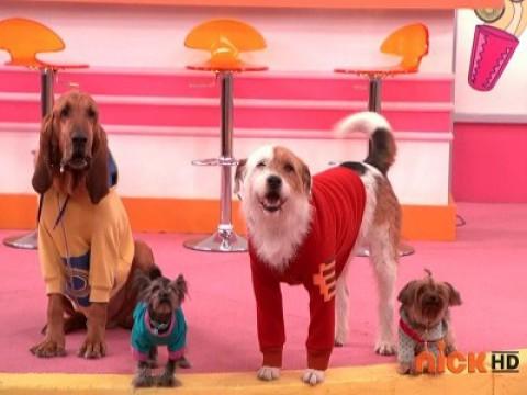 Doggone It!