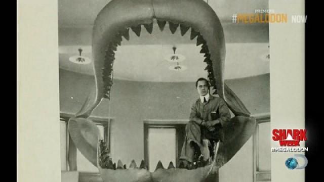 Megalodon: The Monster Shark Lives