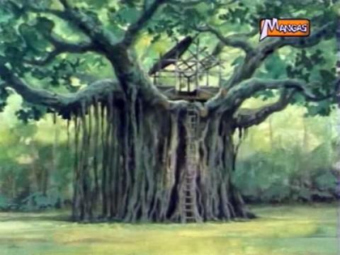 House Up The Tree
