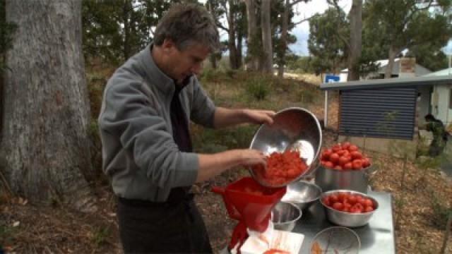 Passata and Fishing