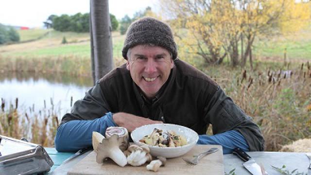 Wallaby, Mushroom and Chips