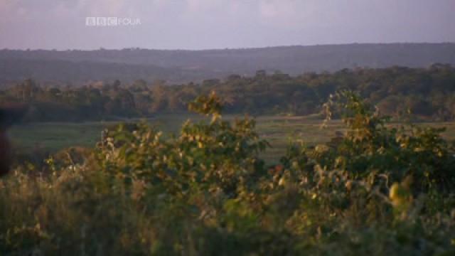 Great Zimbabwe