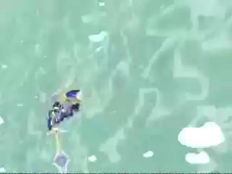 エピオン強襲！