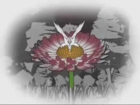 黒き衣のラクロア姫