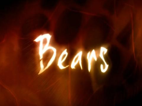 Bears in the British Columbia