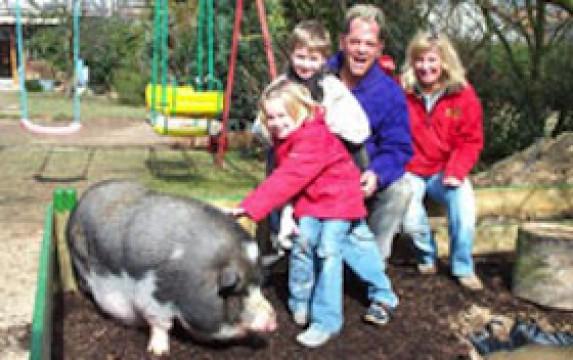 Eine Gartenvilla für's Schwein