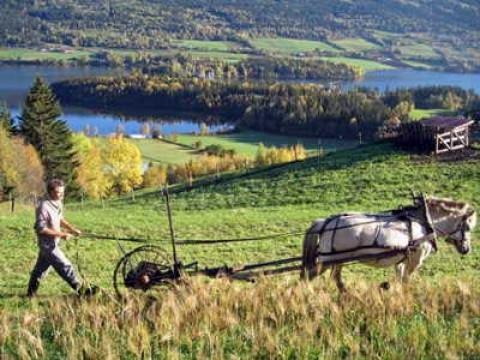 Les chemins du possible : La Scandinavie (Suède / Norvège)