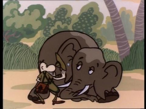 Pampalini and the elephant