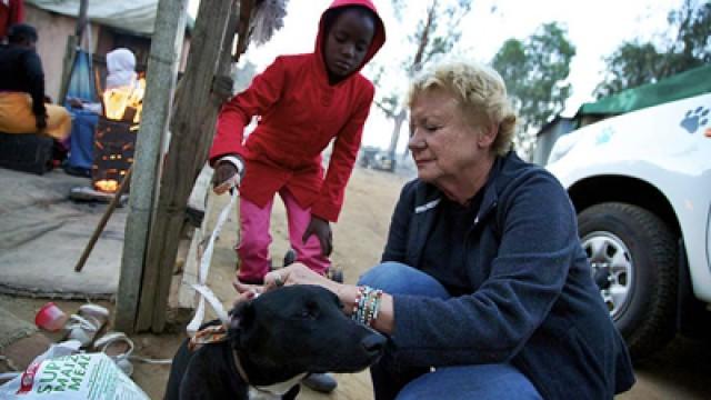 Cora's Pet Project: Healing South Africa, one animal at a time