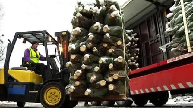 Eddie Stobart's Christmas Delivery