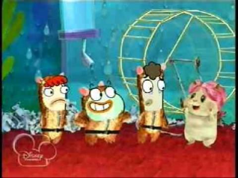 Fish Hooks