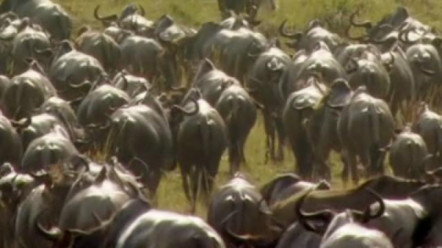 Science of Migrations