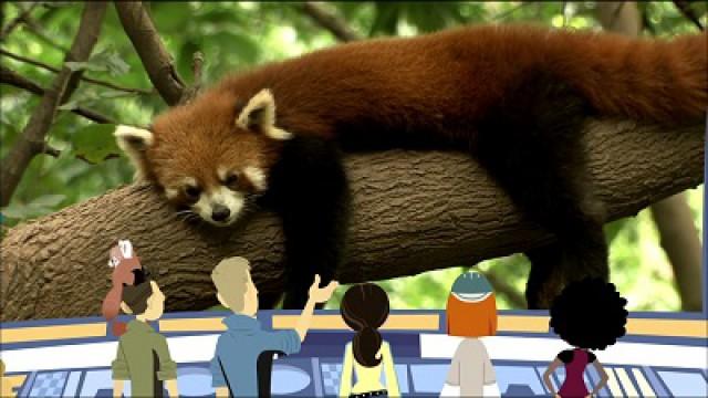 Red Panda Rescue