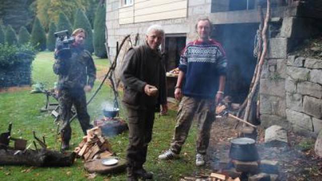 En højlandshjort i Skotland