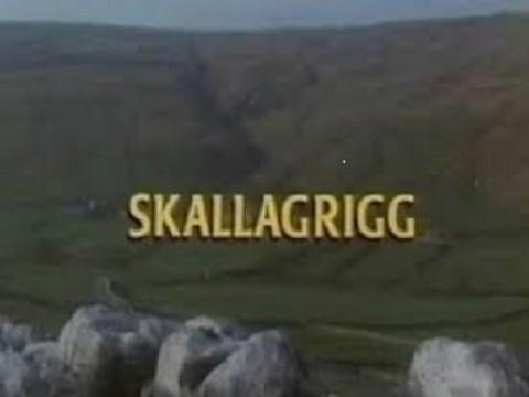 Skallagrigg