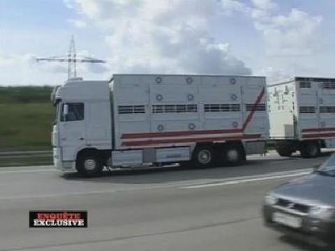 Routiers : les transports de tous les dangers