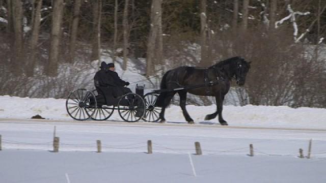 The Mennonite Connection