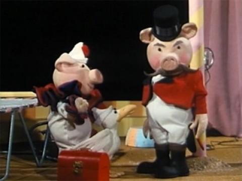 Huxley Pig the Clown
