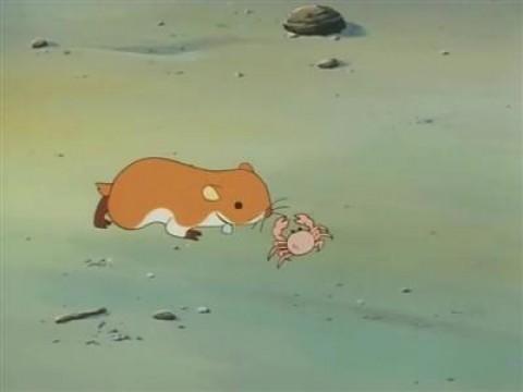 Cute Fellow