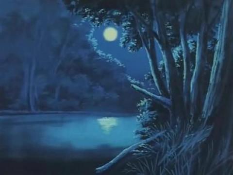 Night at Adelaide