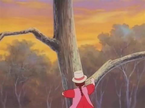 Tree Climbing