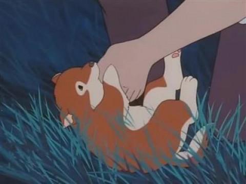 Your Name Is Little