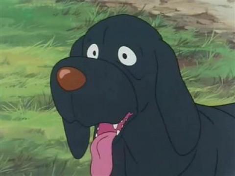 Little and Black Dog