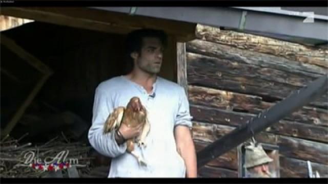 Tag 8 - Verrückte Hühner