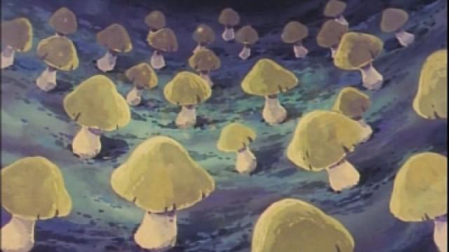 Why the chatoyant mushroom