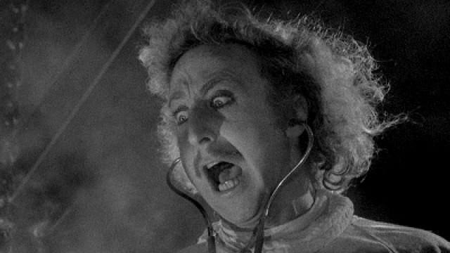 Young Frankenstein (1974)