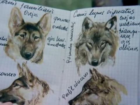 El juego de la caza II