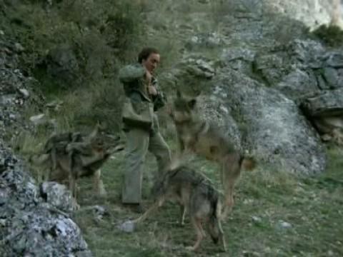 El hombre y el lobo