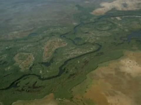 Los llanos de Venezuela