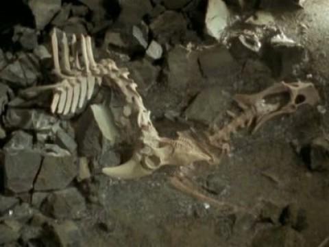 El cementerio helado