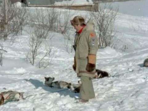 Iditarod (1.000 millas sobre hielo) II