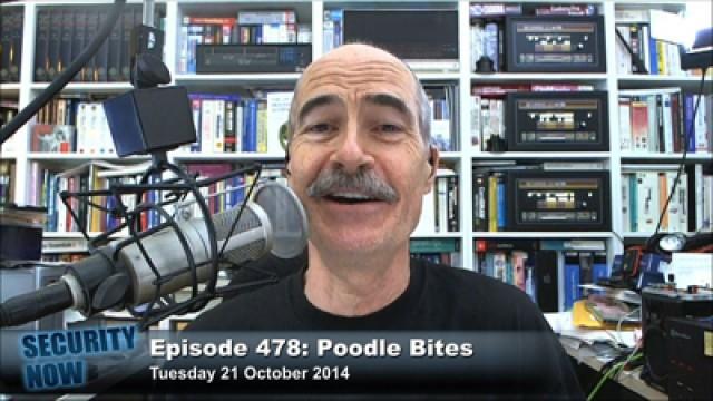 Poodle Bites